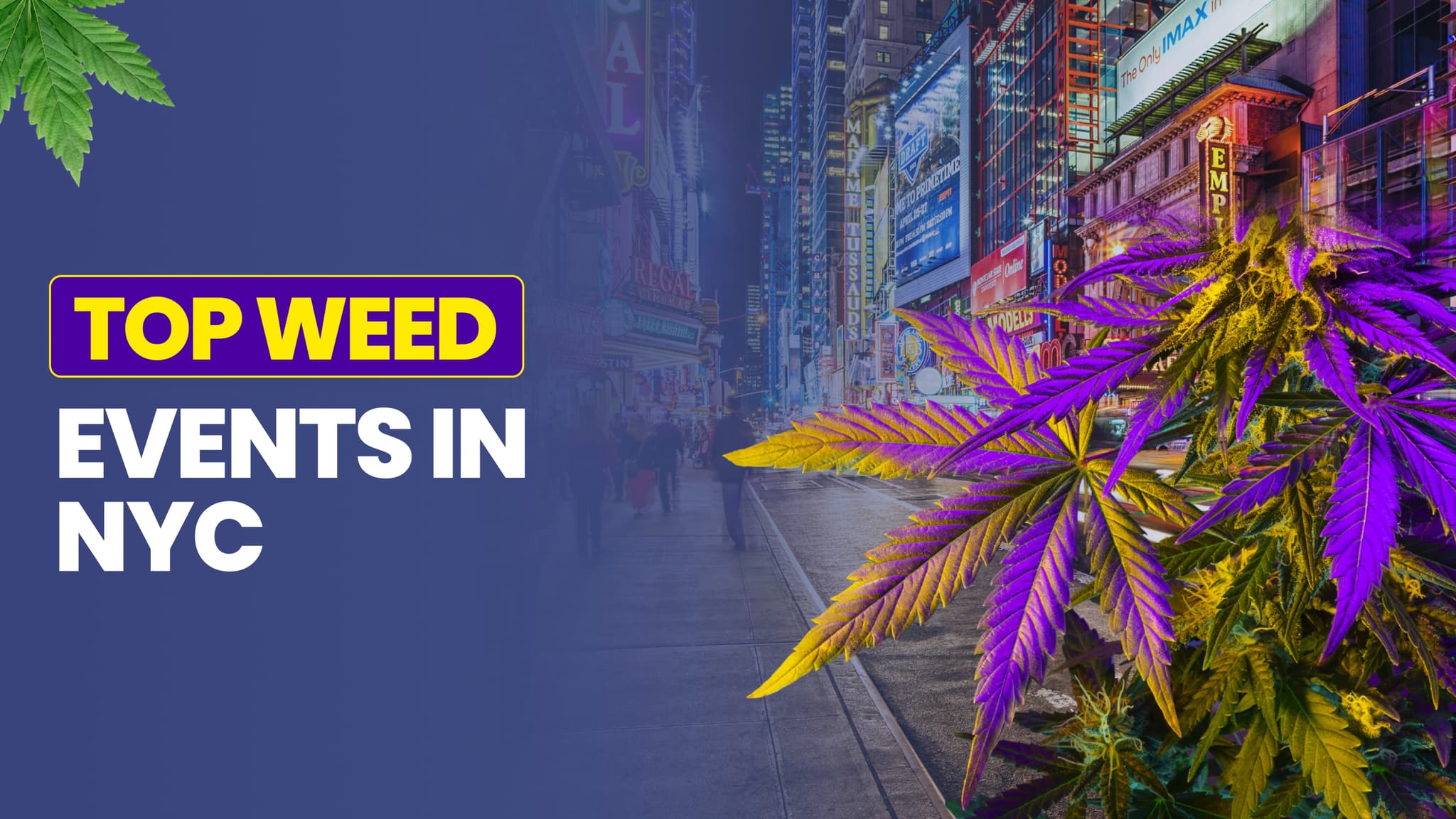 Top Weed Events in NYC: Cannabis Festivals, Expos & Meetups