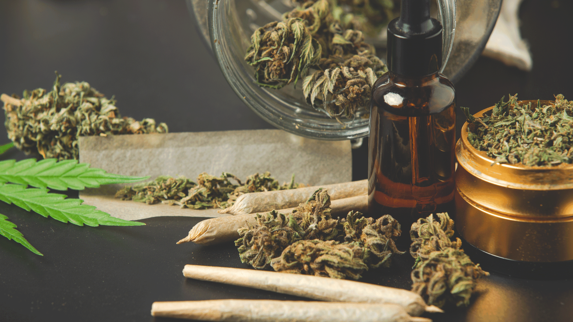 How NYC Wholesale Cannabis Buyers Find the Best Local Brands