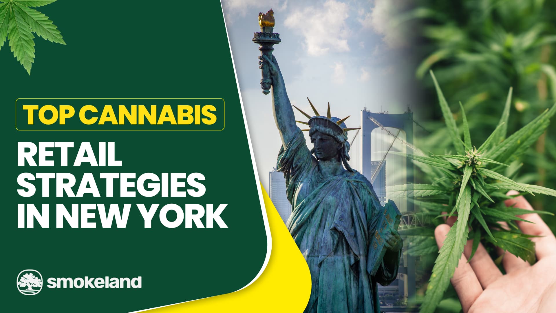 Top Cannabis Retail Strategies in New York